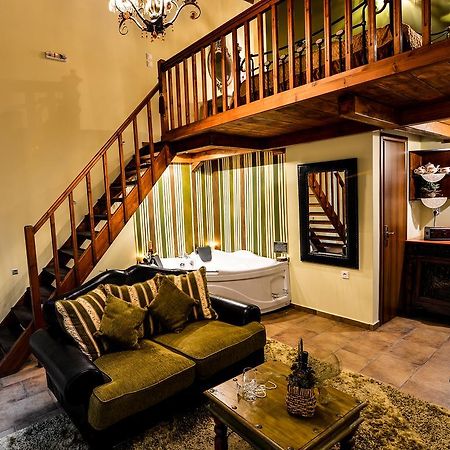 Camelia Suites Synikia Mesi Trikalon Exterior photo